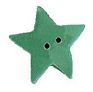 Evergreen Extra Large Star